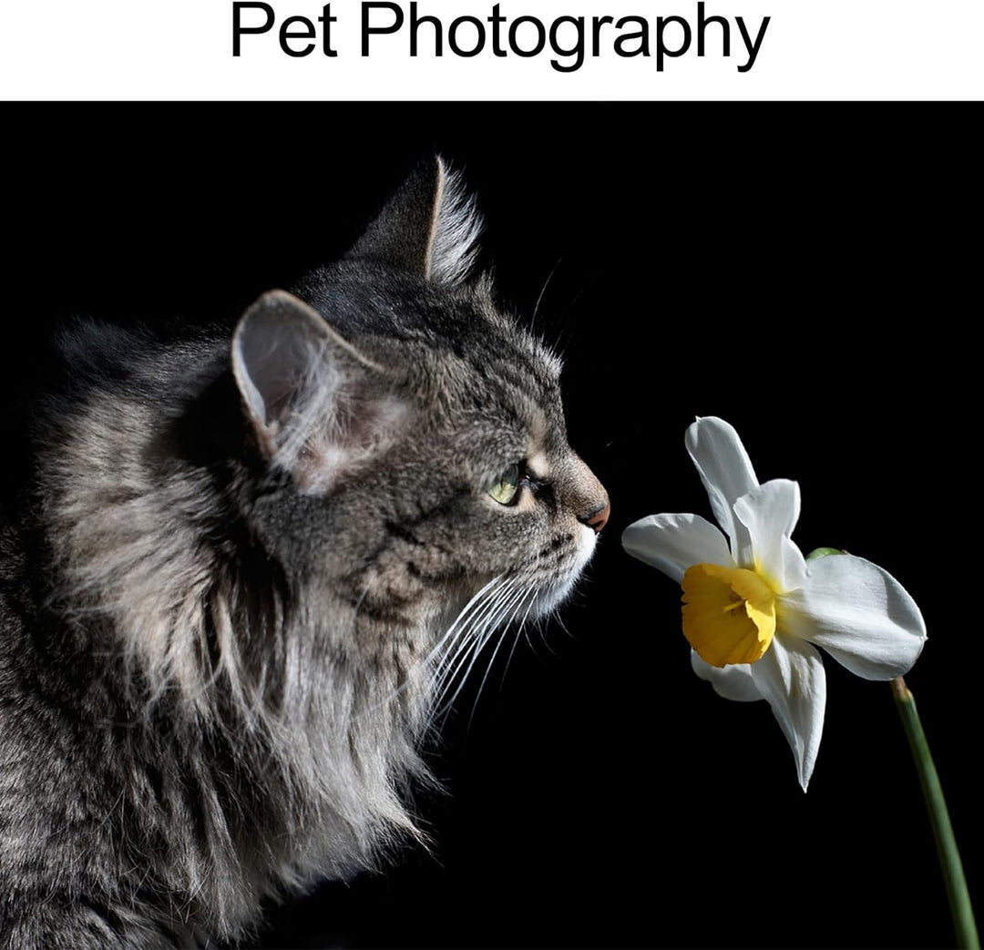 Selens PVC Hintergrund 120x200cm Wasserdicht Fotografie Hintergründe Matte Background für Fotostudio