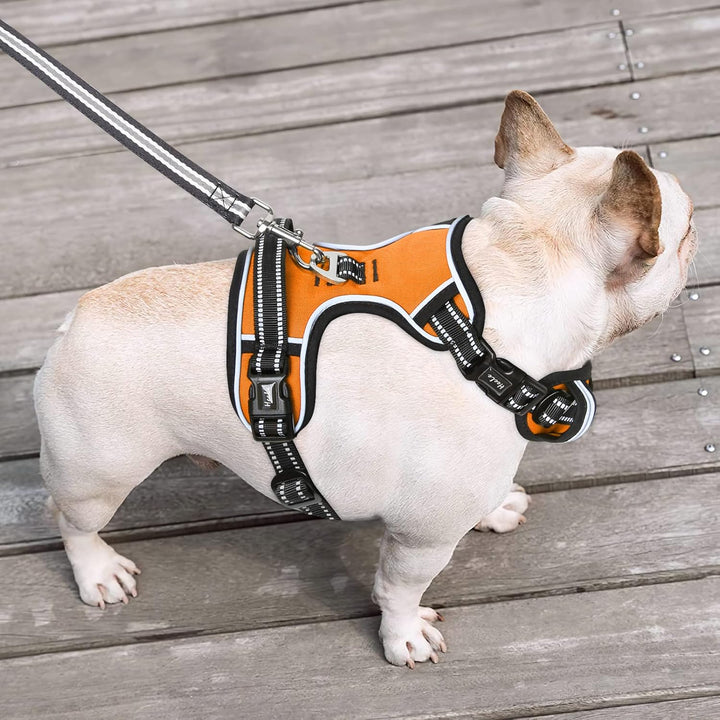HEELE Hundegeschirr ohne Zug, Brustgeschirr für mittel Hund, einstellbares reflektierendes Hunde Ges