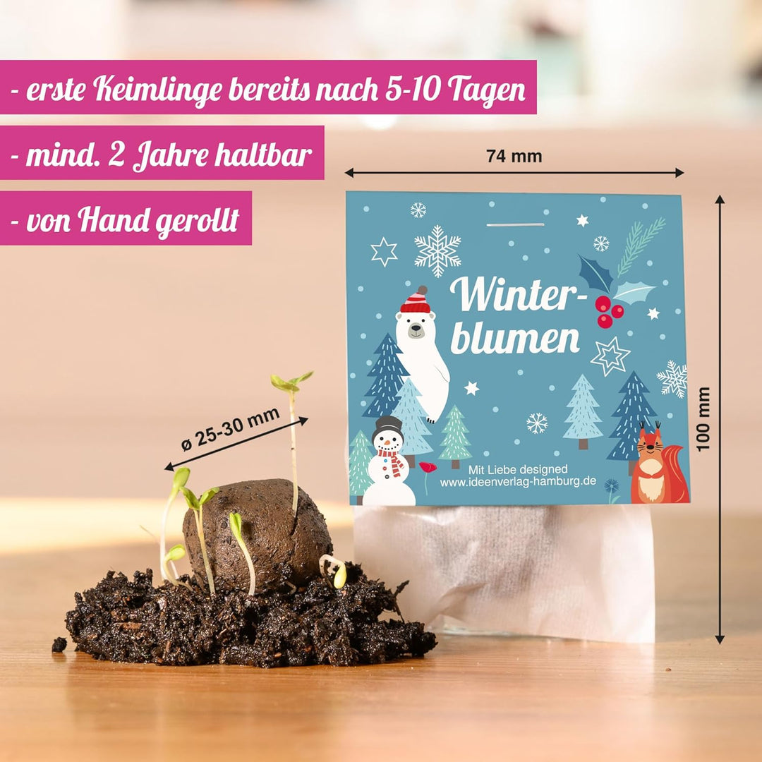 10x "Winterblumen" Winter Samenbomben Kindergeburtstag / treiben aus bei Kälte! / Geschenke Mitgebse