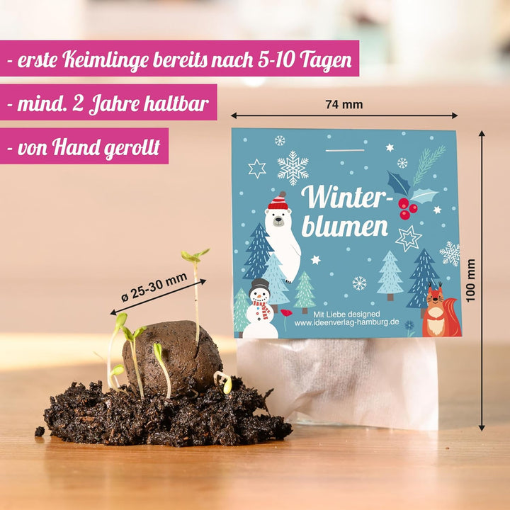 10x "Winterblumen" Winter Samenbomben Kindergeburtstag / treiben aus bei Kälte! / Geschenke Mitgebse