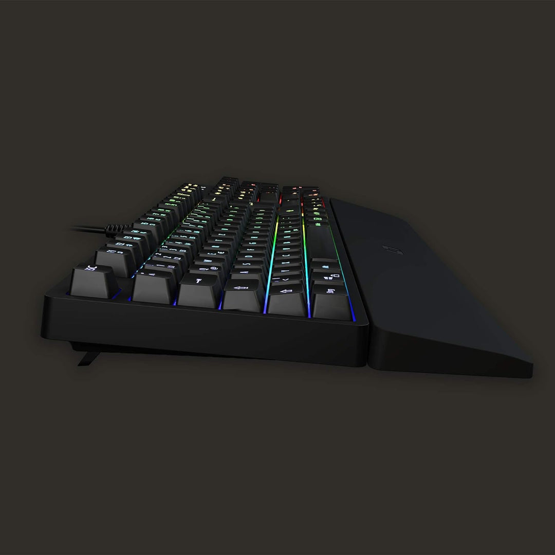 Lioncast LK100 RGB Gaming Keyboard für PC/Laptop/PS4/PS5, 19-Tasten-Rollover Anti-GHOSTING-Funktion,