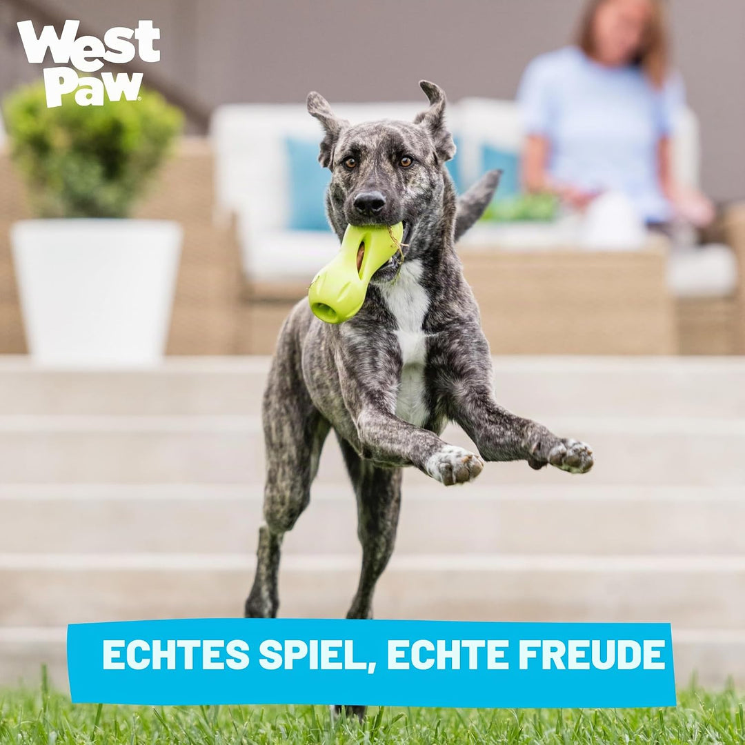 WEST PAW Zogoflex Qwizl Interaktives Leckerli-Spender für Hunde, Granny Smith, klein Granny Smith Sm