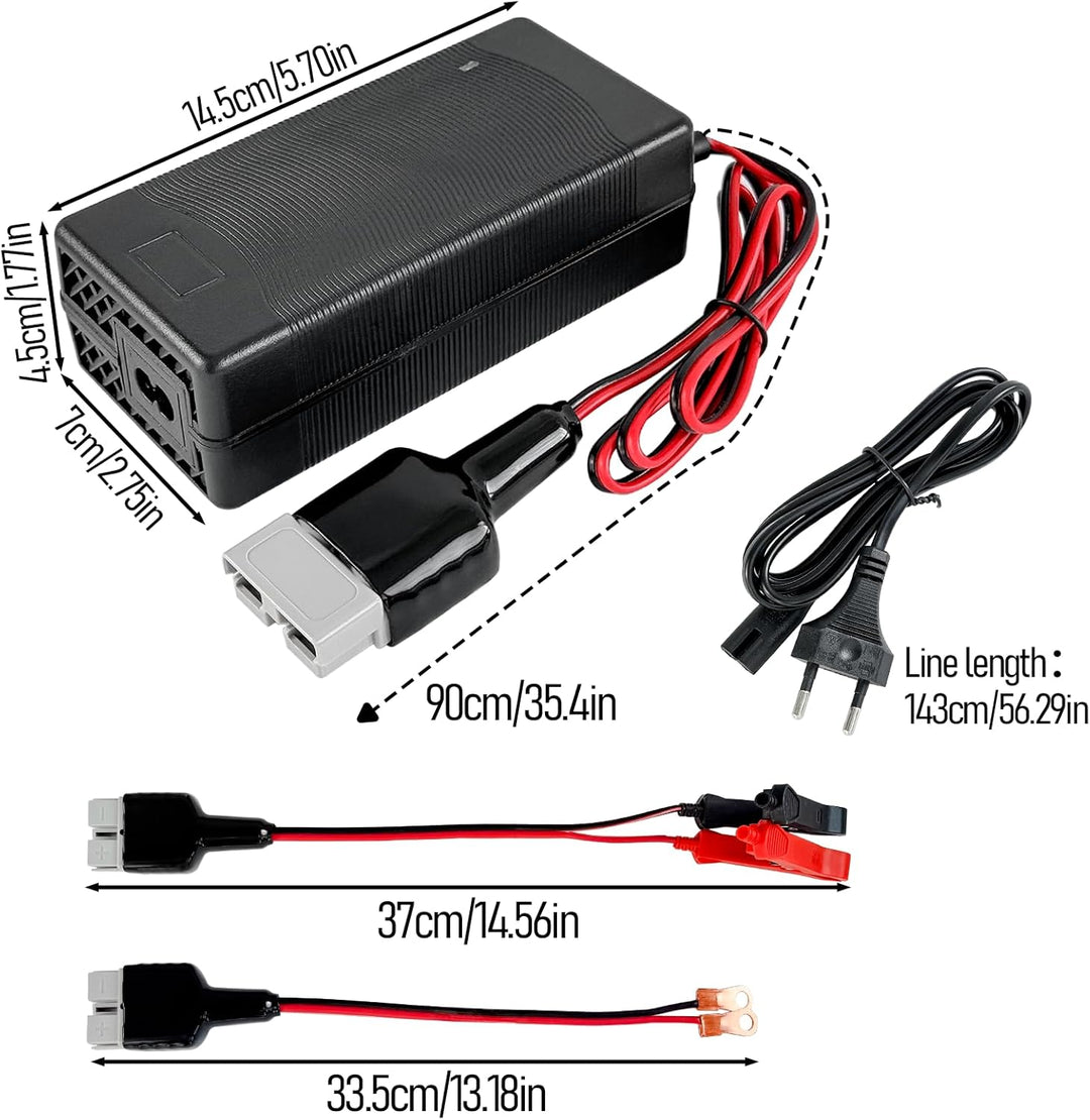 YASCO 12V Lifepo4 Battery Charger, Lithium Eisen Phosphat Batterie Ladegerät14.6V Charger (10A Charg