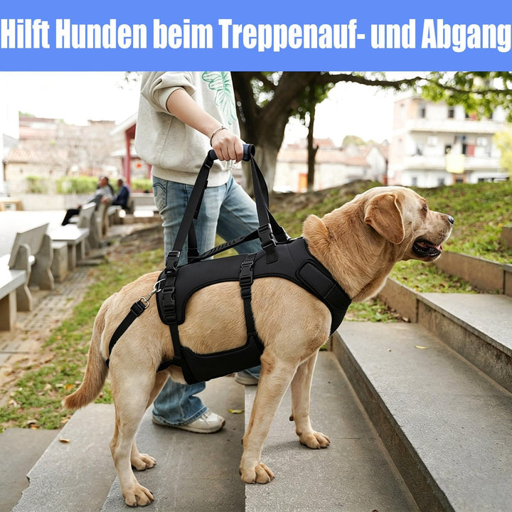 COODEO Hundegeschirr, Ganzkörperstütze und Erholungsweste, verstellbar und atmungsaktiv, für ältere,