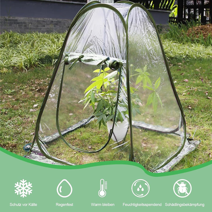 Gewächshaus Klein Überwinterungszelt für Pflanzen, Mini Gewächshaus, Pop Up Gewächshaus überwinterun
