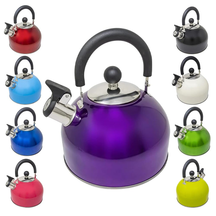 Leichter Wasserkessel mit Pfeiffe aus rostfreiem Edelstahl, Wasserkocher für Camping und Angeln, 2,5