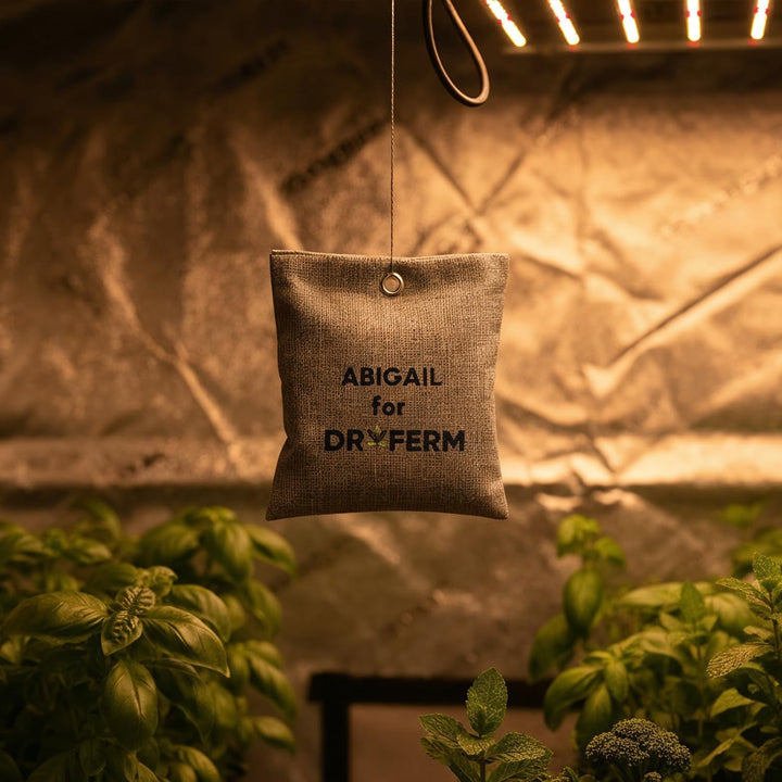 ABIGAIL by DryFerm Luftreiniger für Growbox & Growzelt, Effektiver Schutz ohne Strom, 5 Jahre Haltba
