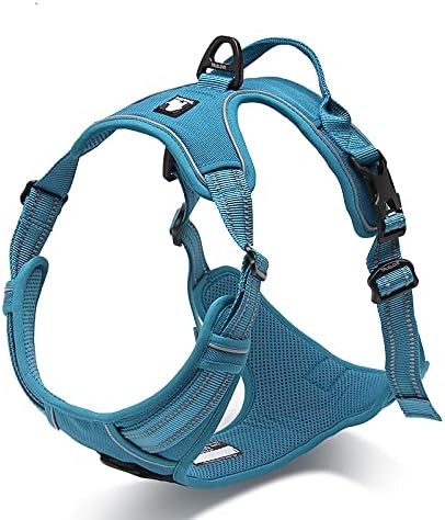 WINHYEPET Truelove Hundegeschirr No-Pull Reflektierendes verstellbar Haustiergeschirr mit 2 Leinencl
