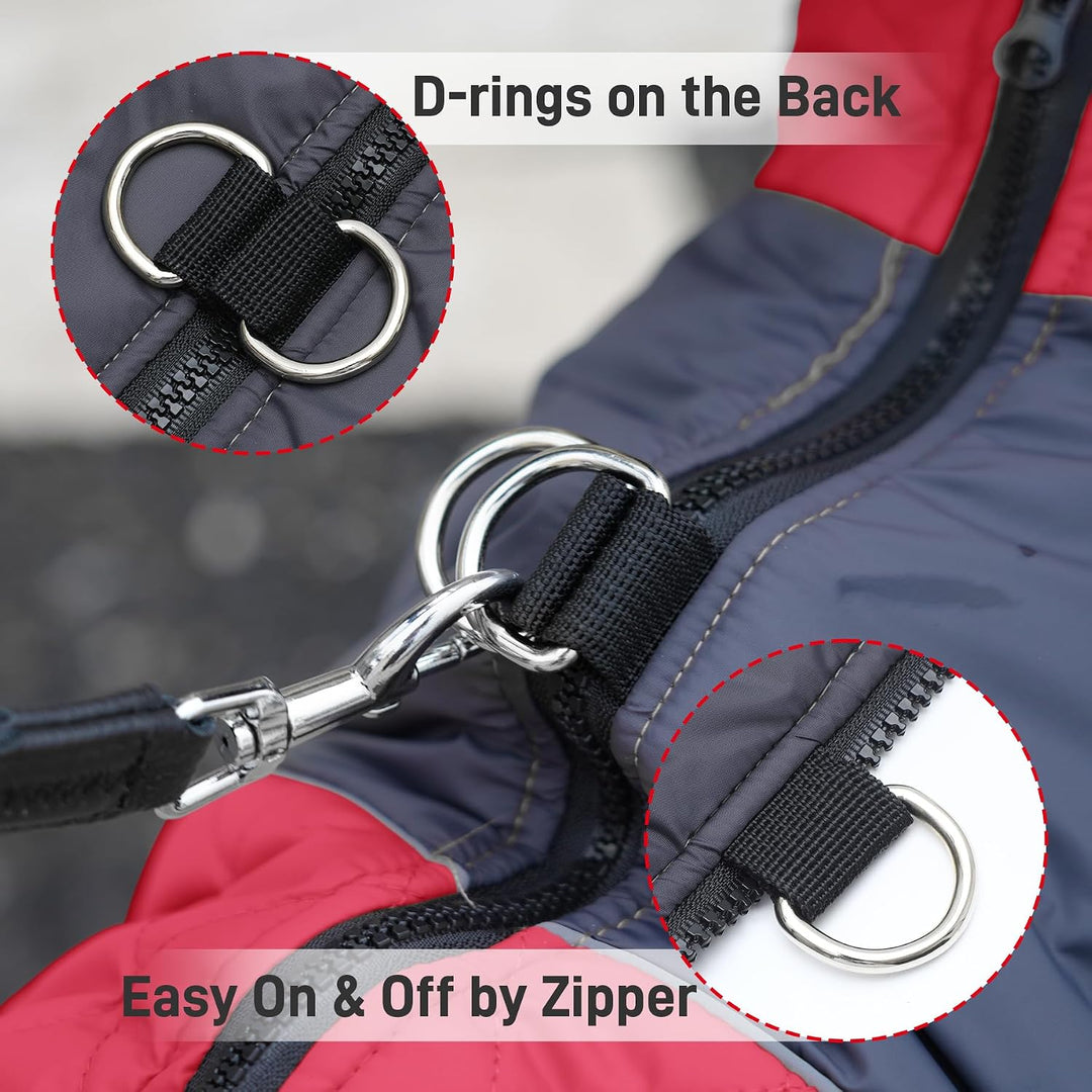 JoyDaog Warmer Fleece-Hundemantel für kleine Hunde, D-Ringe, wasserdichte Welpenjacke für den kalten