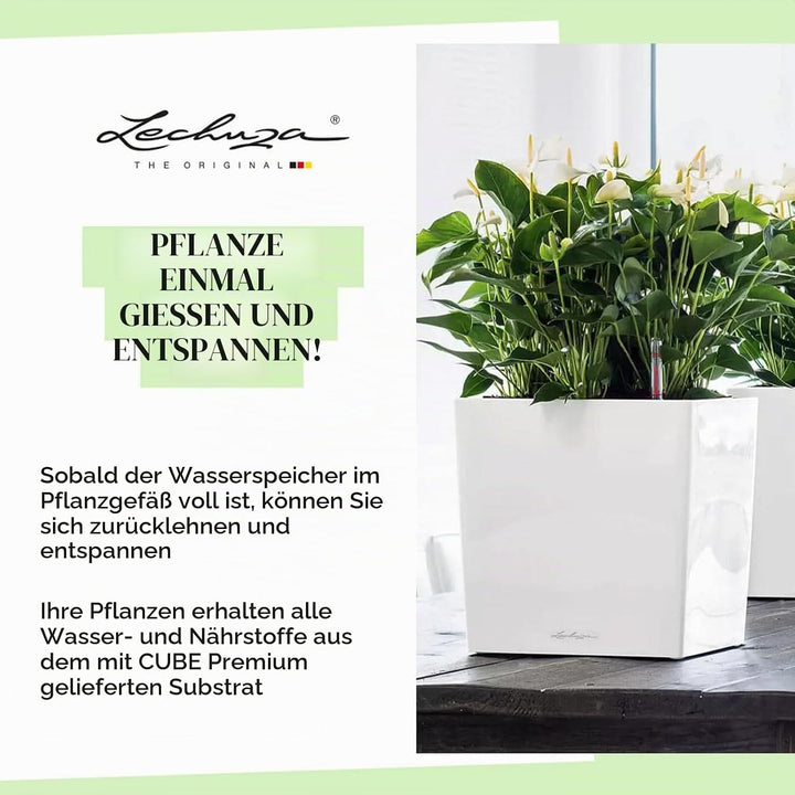 LECHUZA CUBE Premium 40 taupe hochglanz 16365 39x39x40 cm Taupe Hochglanz, 39x39x40 cm Taupe Hochgla