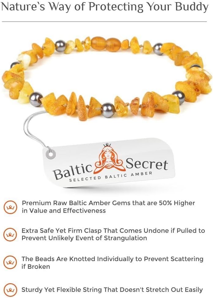 Baltic Secret Bernsteinkette Hund, Bernsteinhalsband Hunde mit Perlen, Zeckenschutz Katze, Flohhalsb