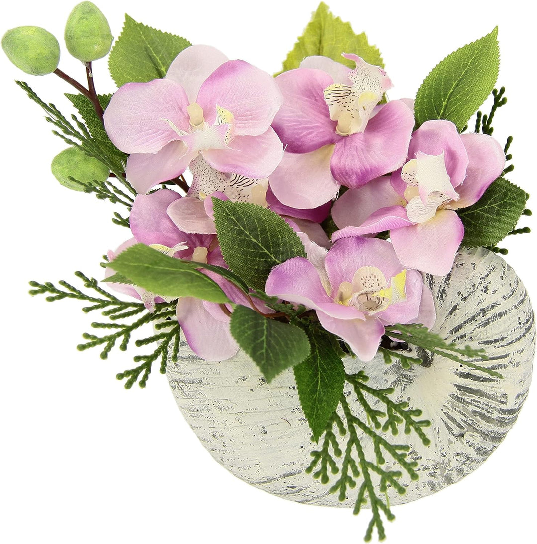 Flair Flower Künstliche Orchidee in Muschel Schale Künstliche Blume Phalaenopsis Kunstorchidee Rispe