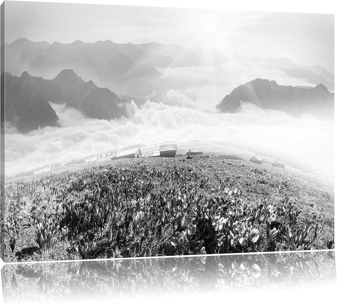 Pixxprint Blühende lilane Krokusse mit Aussicht auf die Berge Kunst B&W, Format: 100x70 auf Leinwand