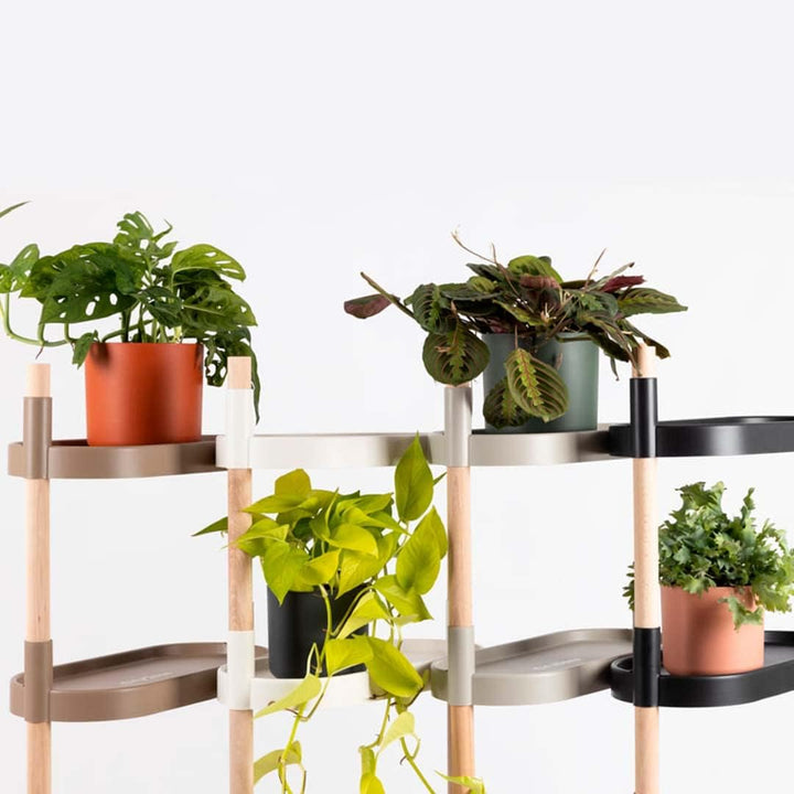 Citysens – Blumenregal mit 8 Regalböden, Schwarz Schwarz 8, Schwarz 8