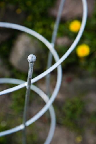 KUHEIGA Stabiler Staudenhalter Verzinkt H: 80cm, Volleisen Strauchhalter, Rankgerüst,