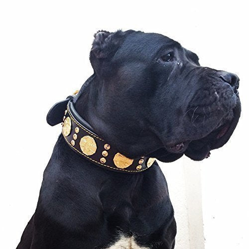 Bestia "Maximus'' Echtleder Hundehalsband für grosse Hunde. 100% Leder. Weich Gepolstert M- 42.5 bis