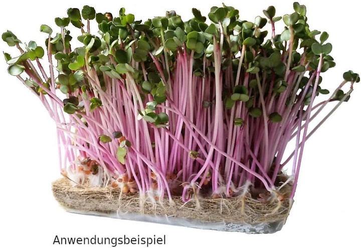 Anzuchtmatte aus 100% Hanf, 40 x 25 cm, ca. 1 cm dick, 5er Pack (EUR 2,79/Stück), Matte geeignet zur