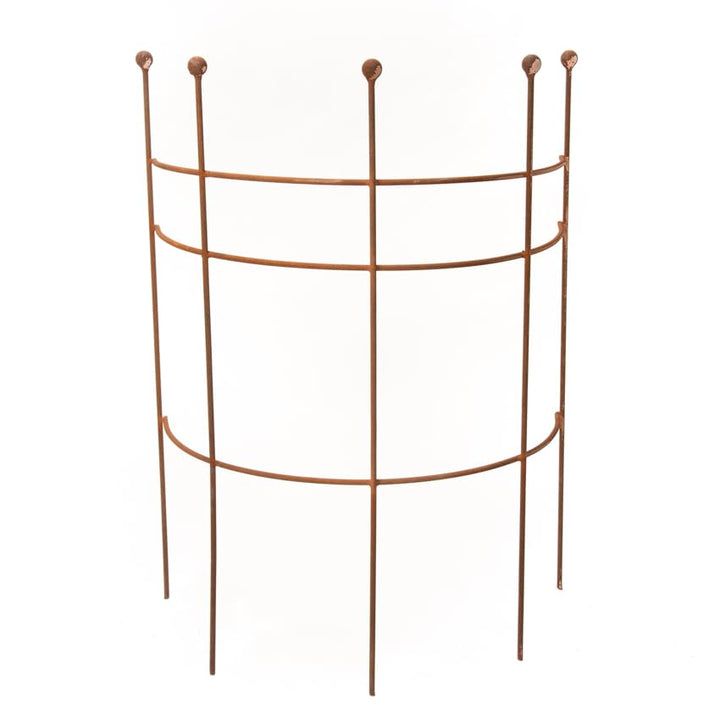 ecosoul Staudenhalter Strauchhalter Staudenstütze Rankgerüst halbrund braun Rost Rankhilfe Metall Ei