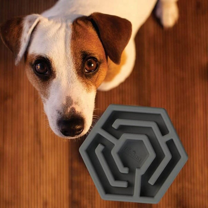 Hexa Bowls Spielzeug für Hunde, Grau