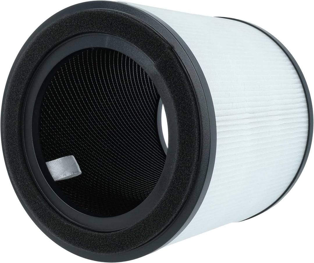 vhbw H13 Filter Ersatz für AEG AFFBRZ2, AFFCAR2 für Luftreiniger - Ersatz-Filter