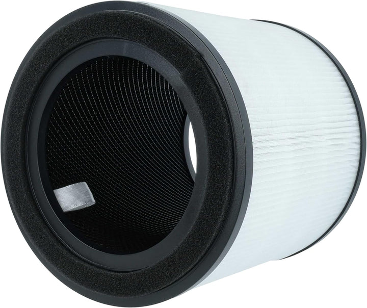 vhbw H13 Filter Ersatz für AEG AFFBRZ2, AFFCAR2 für Luftreiniger - Ersatz-Filter