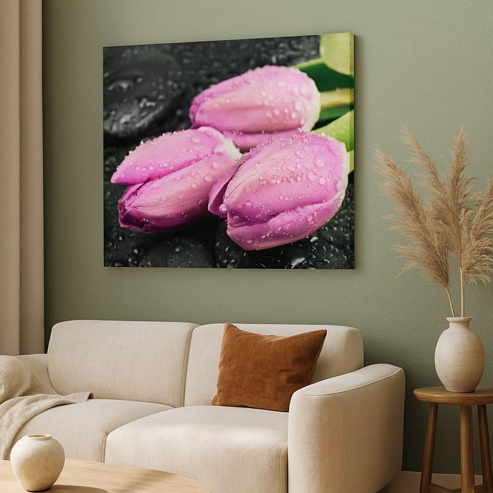 Bilder auf Leinwand 100x70cm Leinwandbild Tulpen Tau Steine Pflanze Gross Wanddeko Bild Schlafzimmer