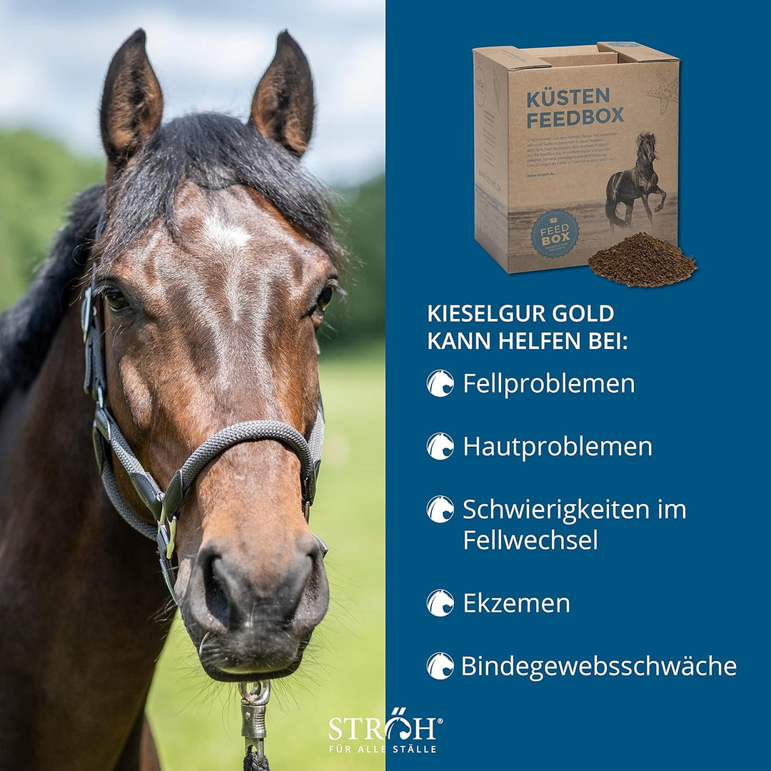 STRÖH Kieselgur Gold Pferd (13kg Feedbox) • Zur Unterstützung von Stoffwechsel & Fellwachstum • Mine
