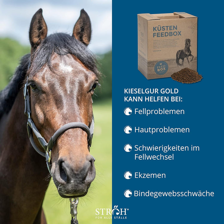 STRÖH Kieselgur Gold Pferd (13kg Feedbox) • Zur Unterstützung von Stoffwechsel & Fellwachstum • Mine
