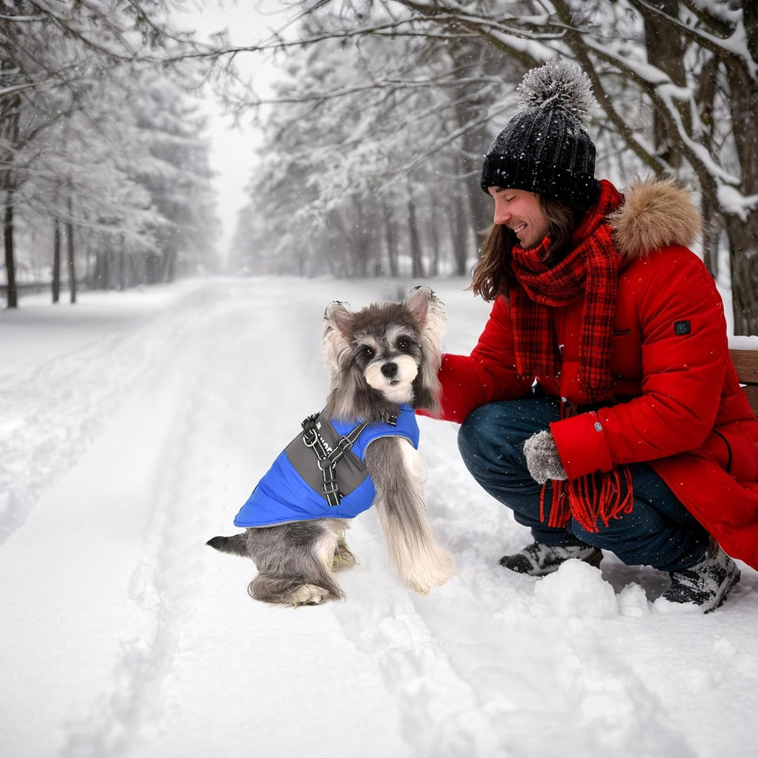 Hundemantel Winter Hundejacke Hundegeschirr Mantel Welpenmantel Jacke Weste Kleidung Kleines Hundege