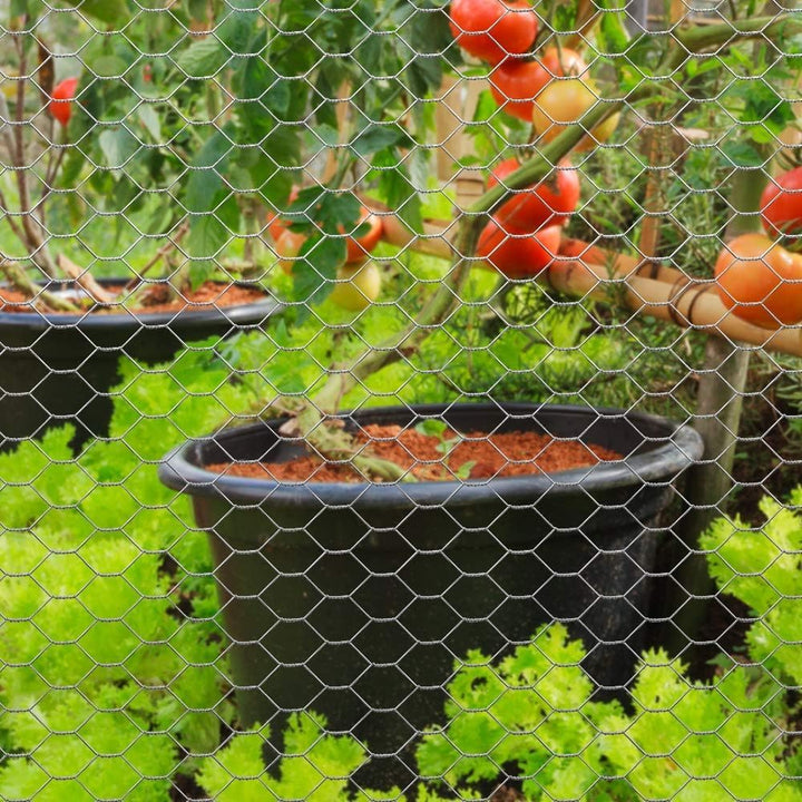 Amagabeli 1M x 25M Volierendraht Maschenweite 25mm Sechseckig Verzinkt Hühnerzaun Kaninchendraht Has