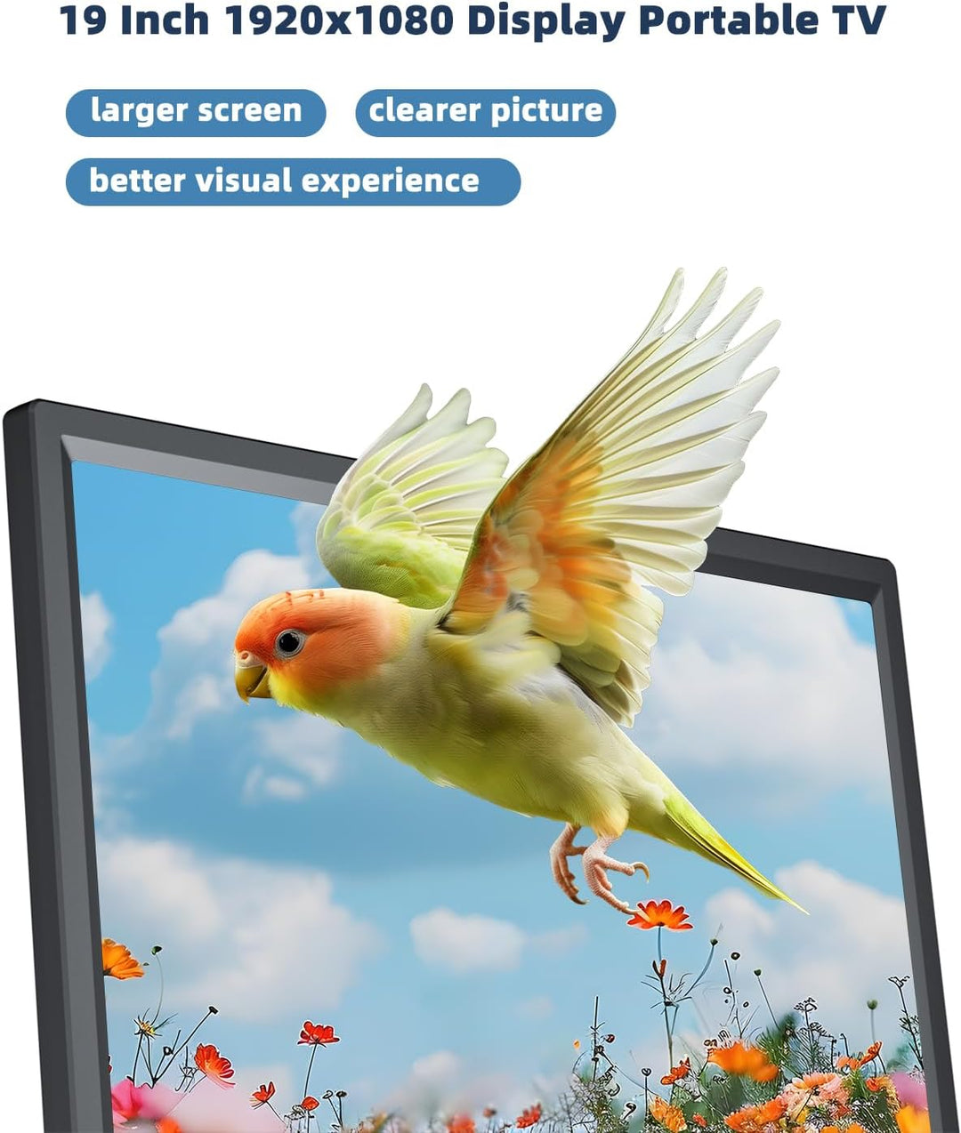 DESOBRY 19-Zoll Fernseher mit Batterie, Tragbarer Kleiner Fernseher DVB-T2 | 1080p, Mit Antenne, HDM