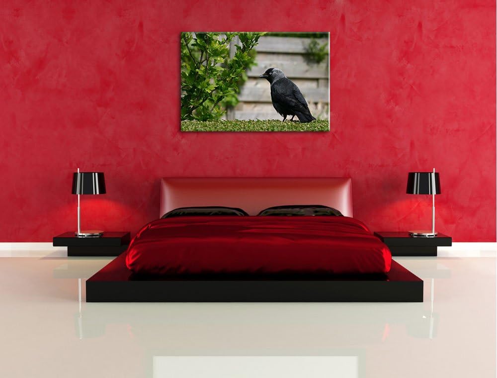 schöner schwarzer Vogel auf Gartenwiese Leinwand, XXL riesige Bilder fertig gerahmt mit Keilrahmen,