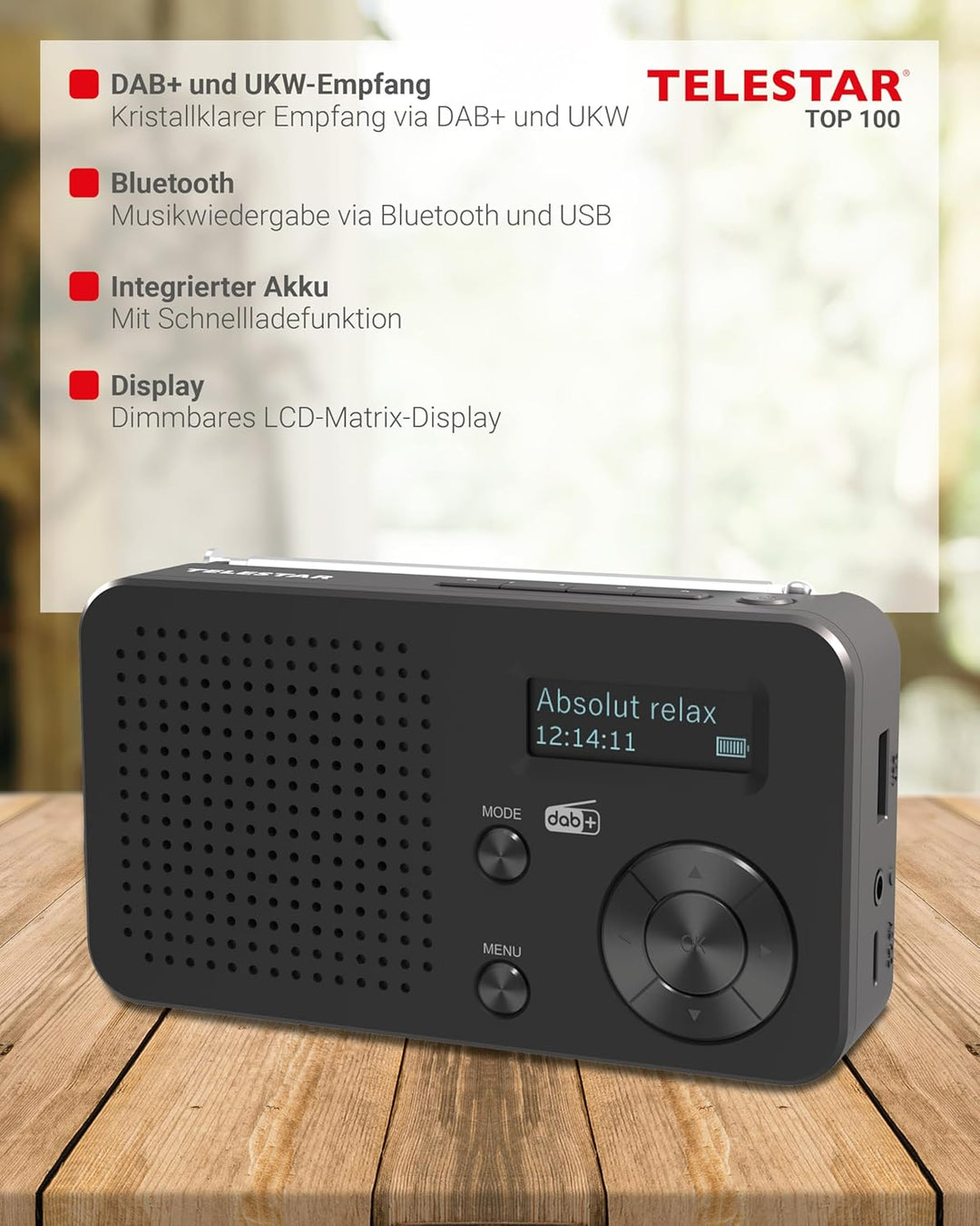 TELESTAR TOP 100 – Mobiles DAB+/UKW Radio (austauschbarer Akku, bis zu 15 Std. Spielzeit, kurzes Lad