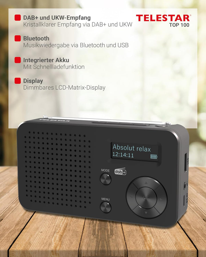 TELESTAR TOP 100 – Mobiles DAB+/UKW Radio (austauschbarer Akku, bis zu 15 Std. Spielzeit, kurzes Lad