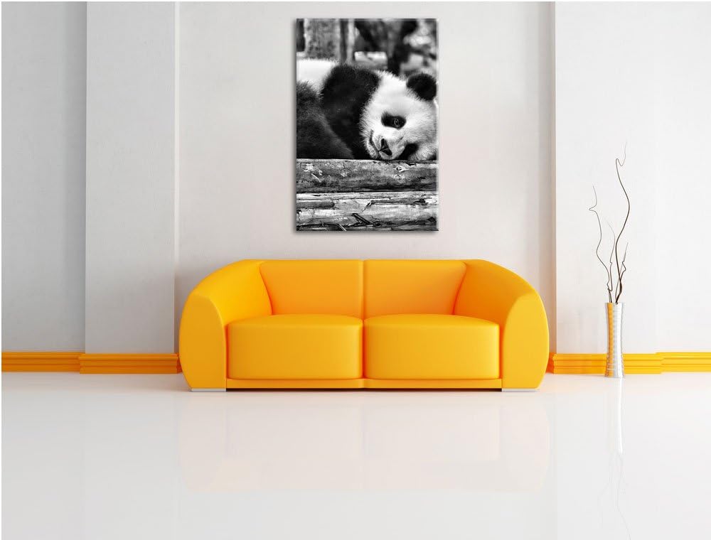Pixxprint Monocrome, süsser Kleiner Pandabär, Format: 100x70 auf Leinwand, 100x70