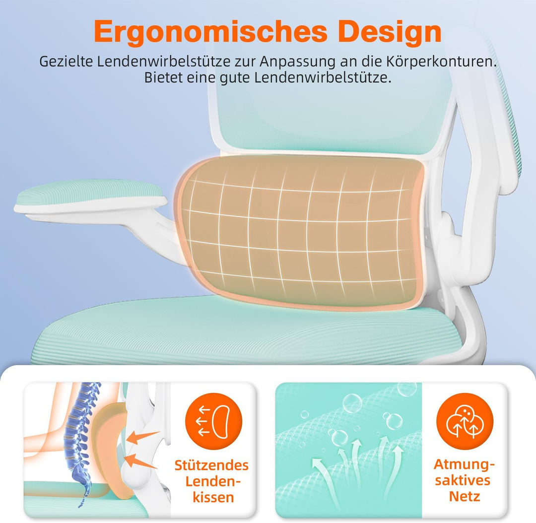Aiidoits Bürostuhl mit Klappbaren Armlehnen, Lendenwirbelstütze und Höhenverstellbarer, Ergonomisch