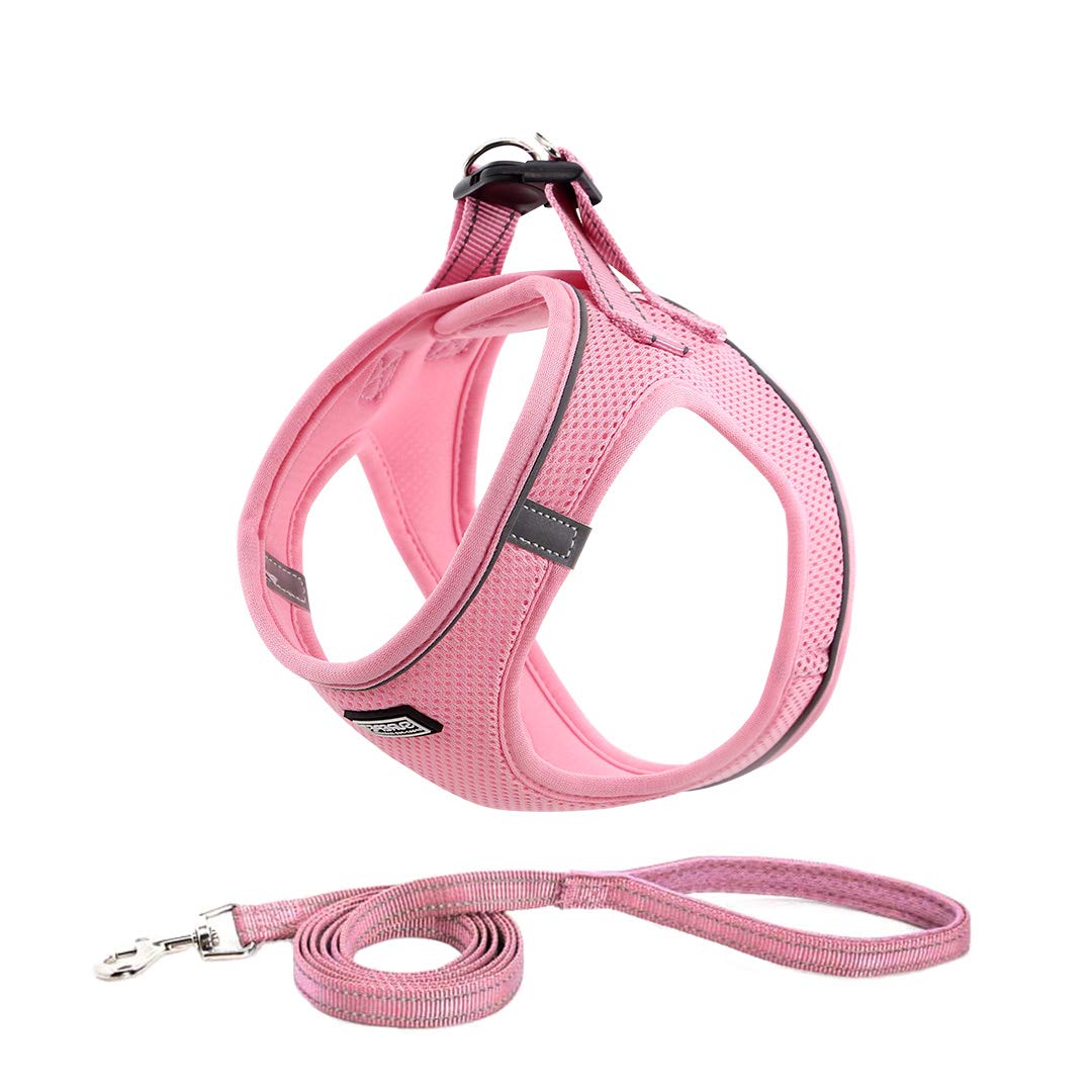 Hundegeschirr mit Leine Anti Zug Geschirr Reflektierend Brustgeschirr für Kleine Hunde, Haustiere, W
