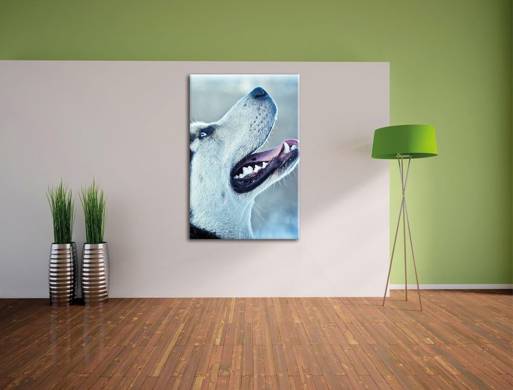 Husky von der Seite, Format: 100x70 auf Leinwand, XXL riesige Bilder fertig gerahmt mit Keilrahmen,