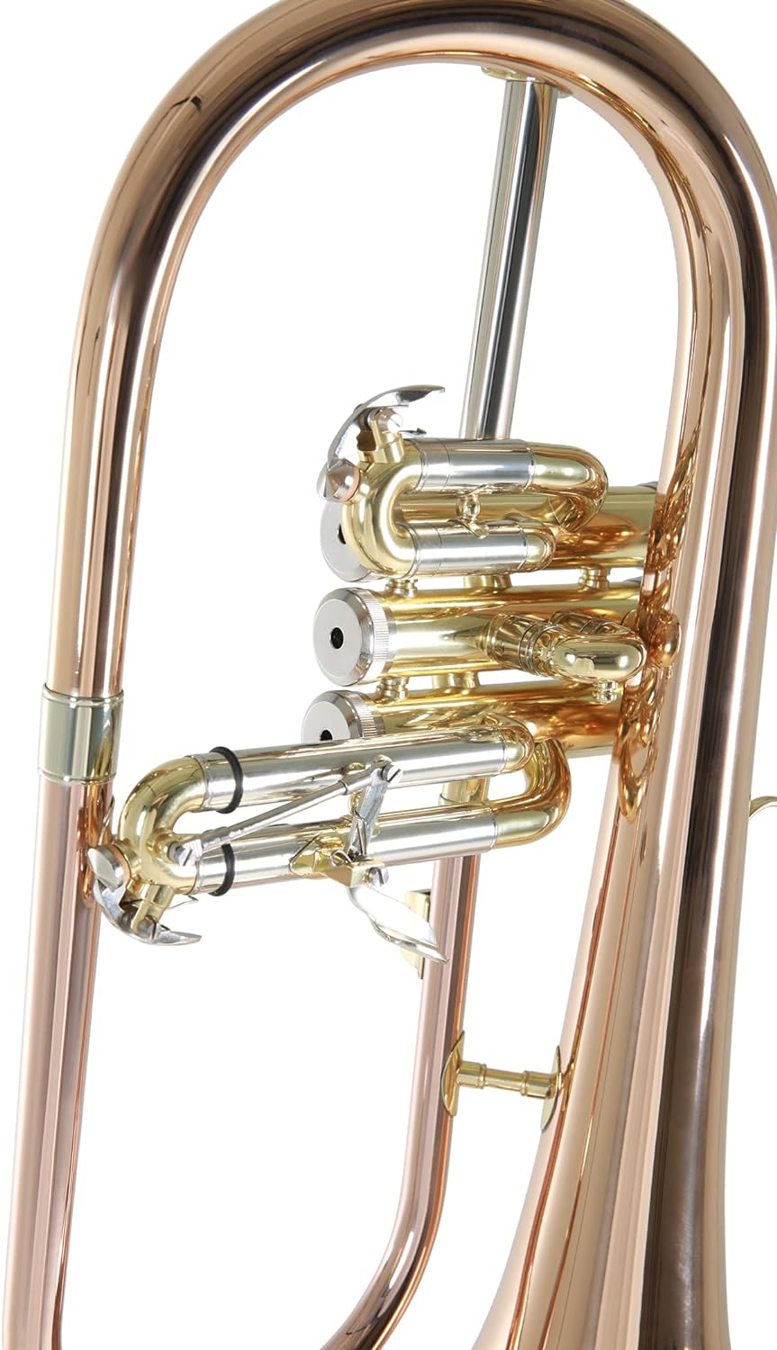 Roy Benson Bb Flügelhorn MOD.FH-302G Goldmessing Schall, inkl. Etui, FH-302G