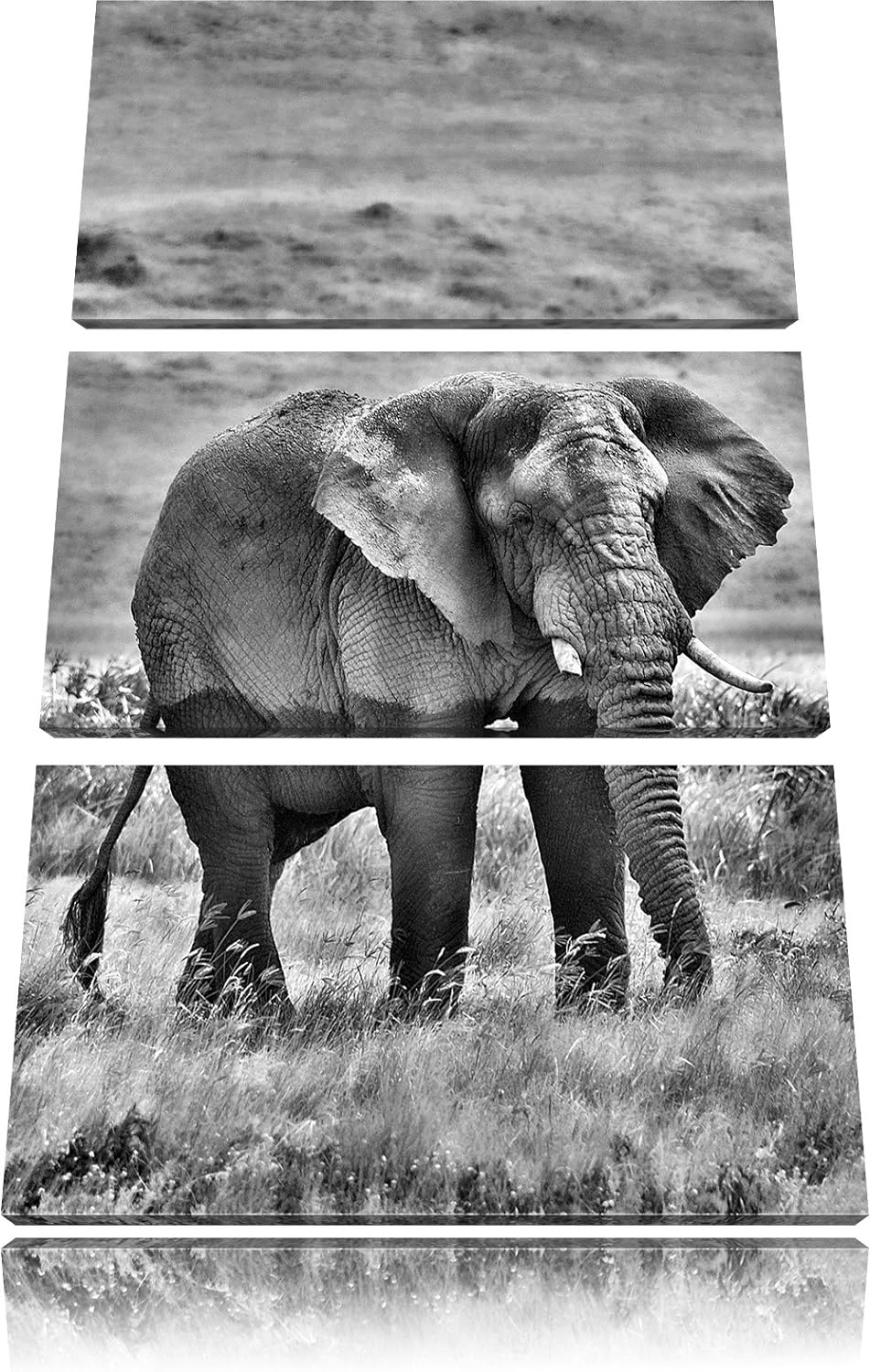 Pixxprint gigantischer Elefant im Gras als Leinwandbild/Grösse: 3 Teilig (120x80) cm/Wandbild/Kunstd