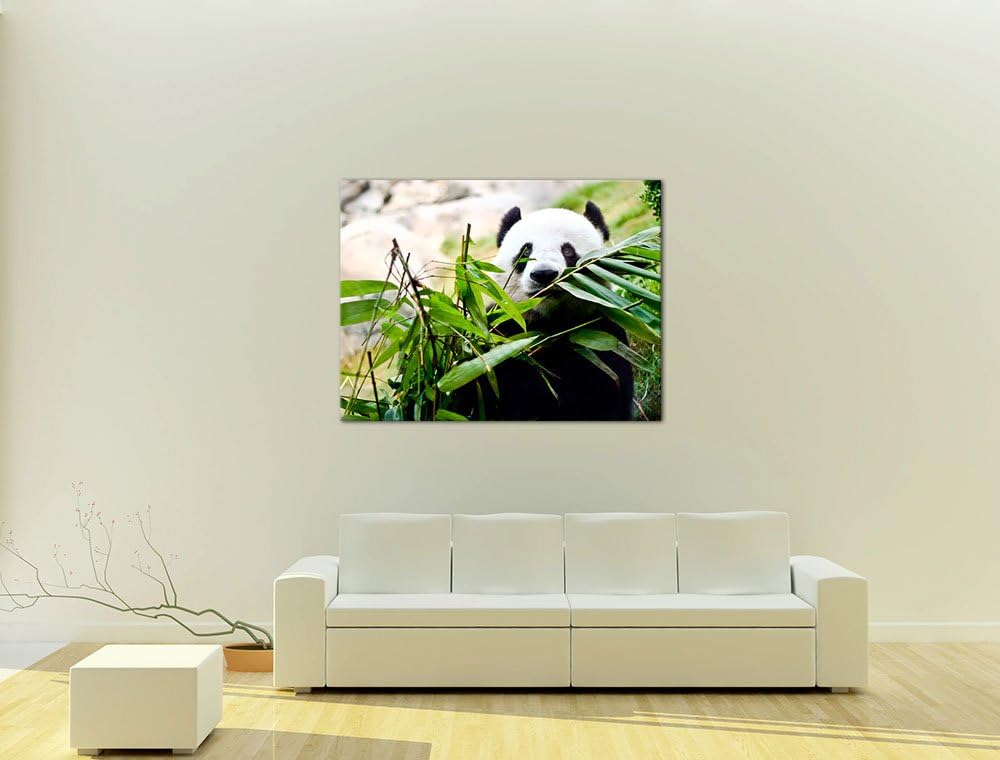 Bilderdepot24 Bild auf Leinwand | Pandabär in 100x60 cm mehrteilig als Wandbild | Wand-deko Dekorati