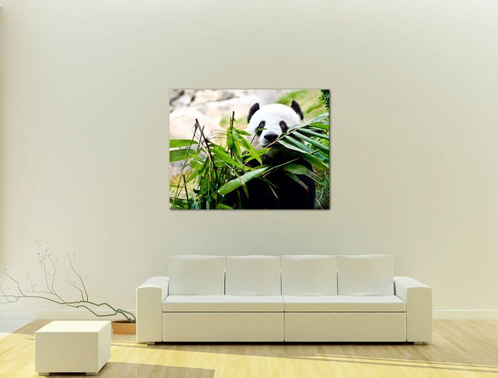 Bilderdepot24 Bild auf Leinwand | Pandabär in 100x60 cm mehrteilig als Wandbild | Wand-deko Dekorati