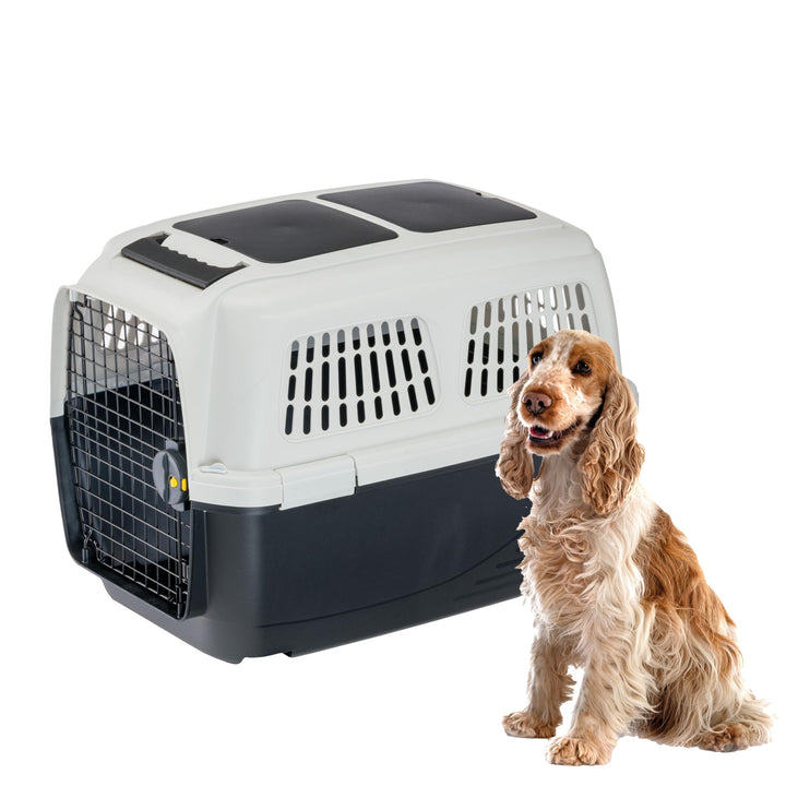 Ferplast Hundetransportbox CLIPPER PLUS, IATA-geeignet, Mittlere Hundetransportbox bis 20 kg, Sicher