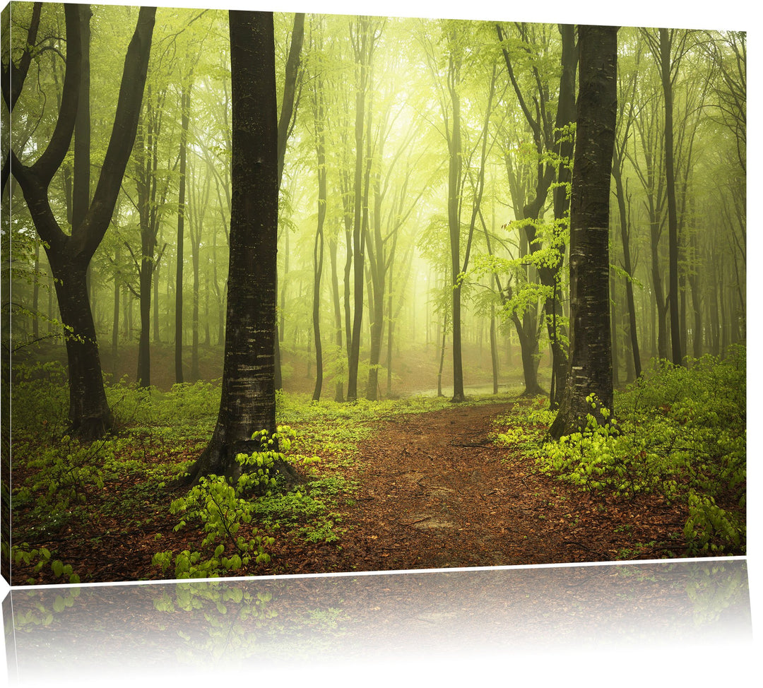 Pixxprint Sonniger Weg im atemberaubenden Wald, Format: 100x70 auf Leinwand, riesige Bilder fertig g