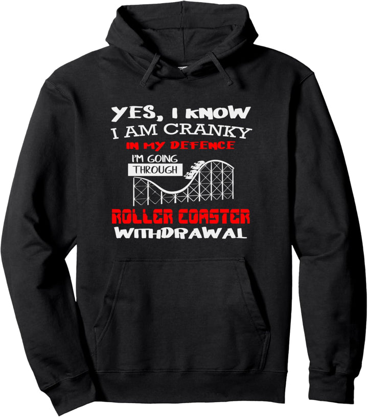 Roller Coaster Amusement Park Lover I Love Roller Coaster Pullover Hoodie