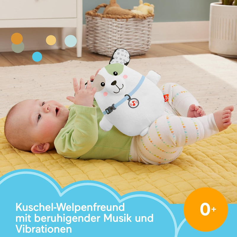 Fisher-Price Schlummer Hündchen Spieluhr - Tragbarer weicher Plüschklangerzeuger mit beruhigender Mu