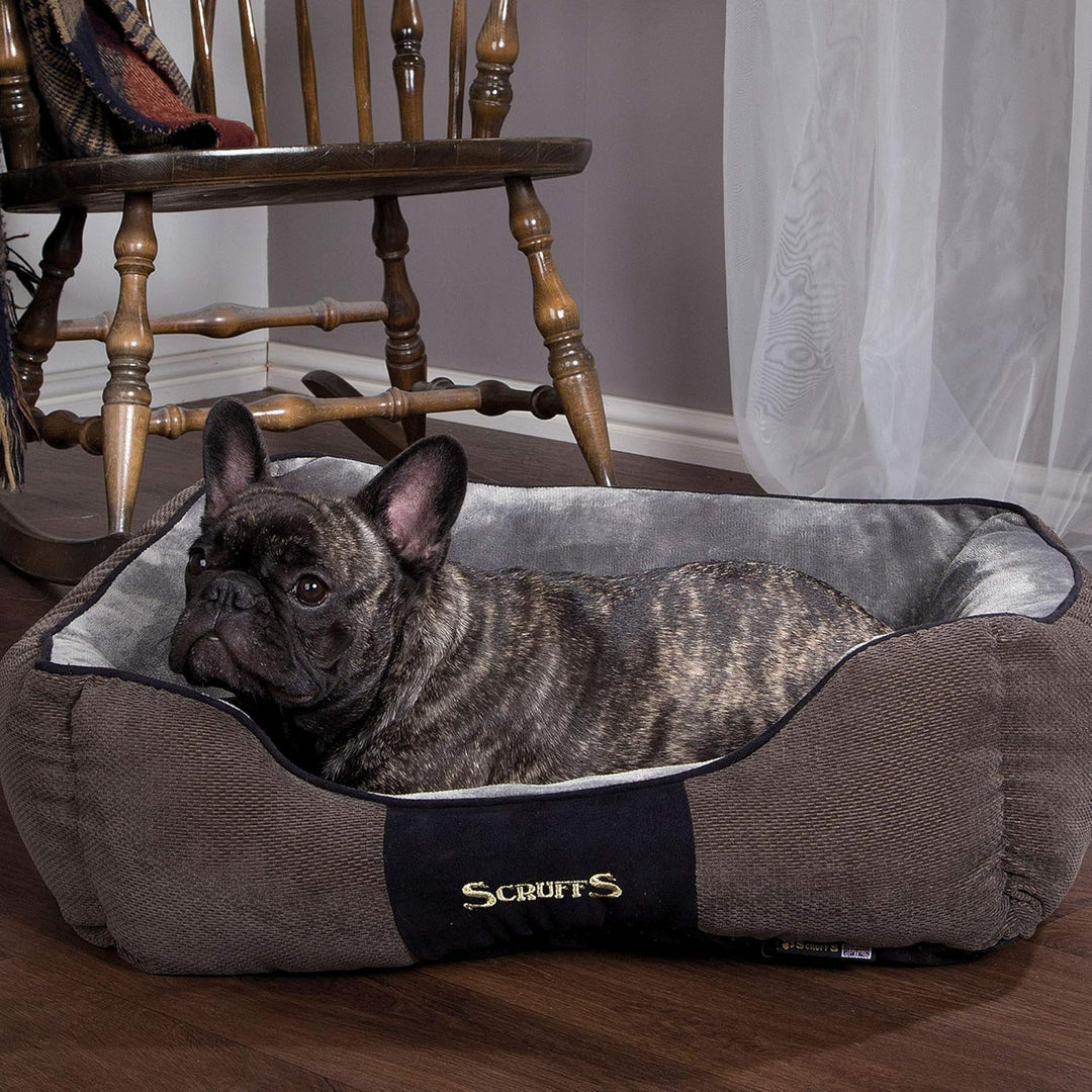 Scruffs M Chester Box Bett Graphite-Medium, Grau, M 60 x 50 cm Grau M 60 x 50 cm, Grau M 60 x 50 cm