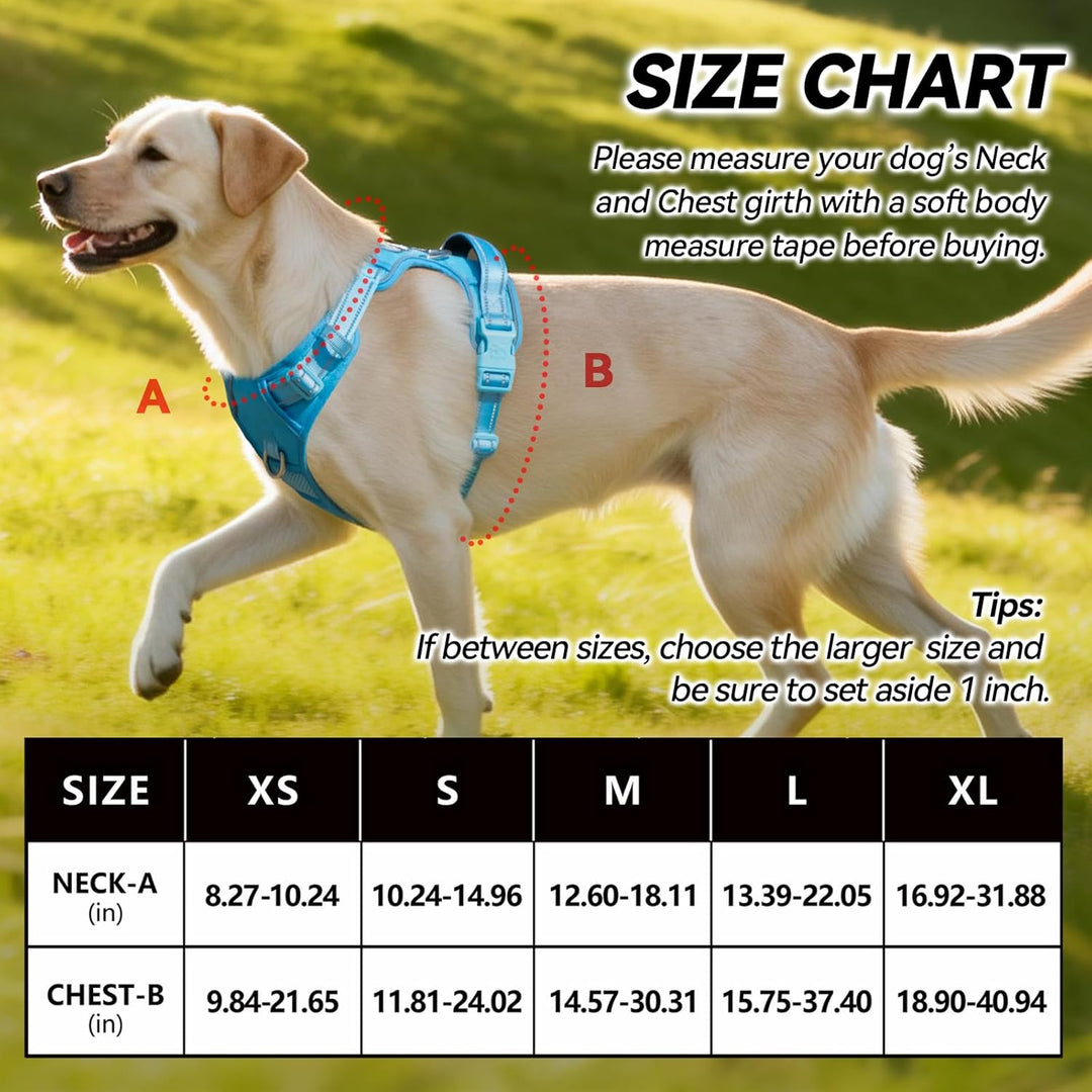 PoyPet Keine Pull Hundegeschirr, Reflektierendes Hundegeschirr für Hunde ohne Choke, Verstellbare, w