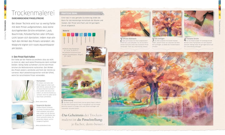 Meisterschule Aquarell: Materialien, Motive, Stile. Alle Techniken Schritt für Schritt, Gebundenes B