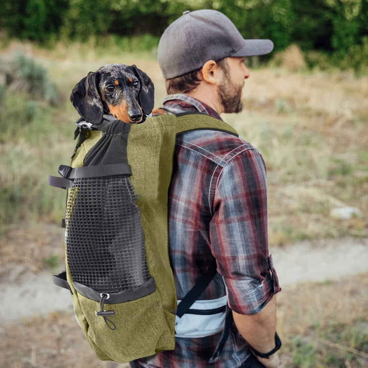 PETCUTE Hundetasche Hundetransporttasche Tragetasche für Hunde Katzen Wanderrucksack Seite Atmungsak